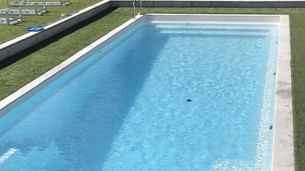 Pool after using Dazzle